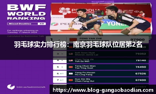 羽毛球实力排行榜：南京羽毛球队位居第2名